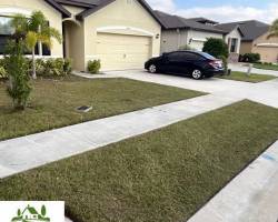 professional-lawn-care-in-brevard-county-fl