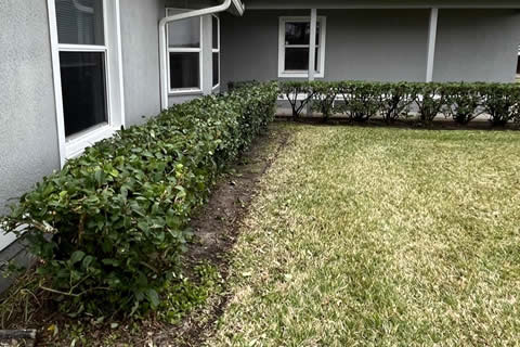 Trimming and Cutting throughout Palm Bay, Melbourne, and Brevard County in Florida.