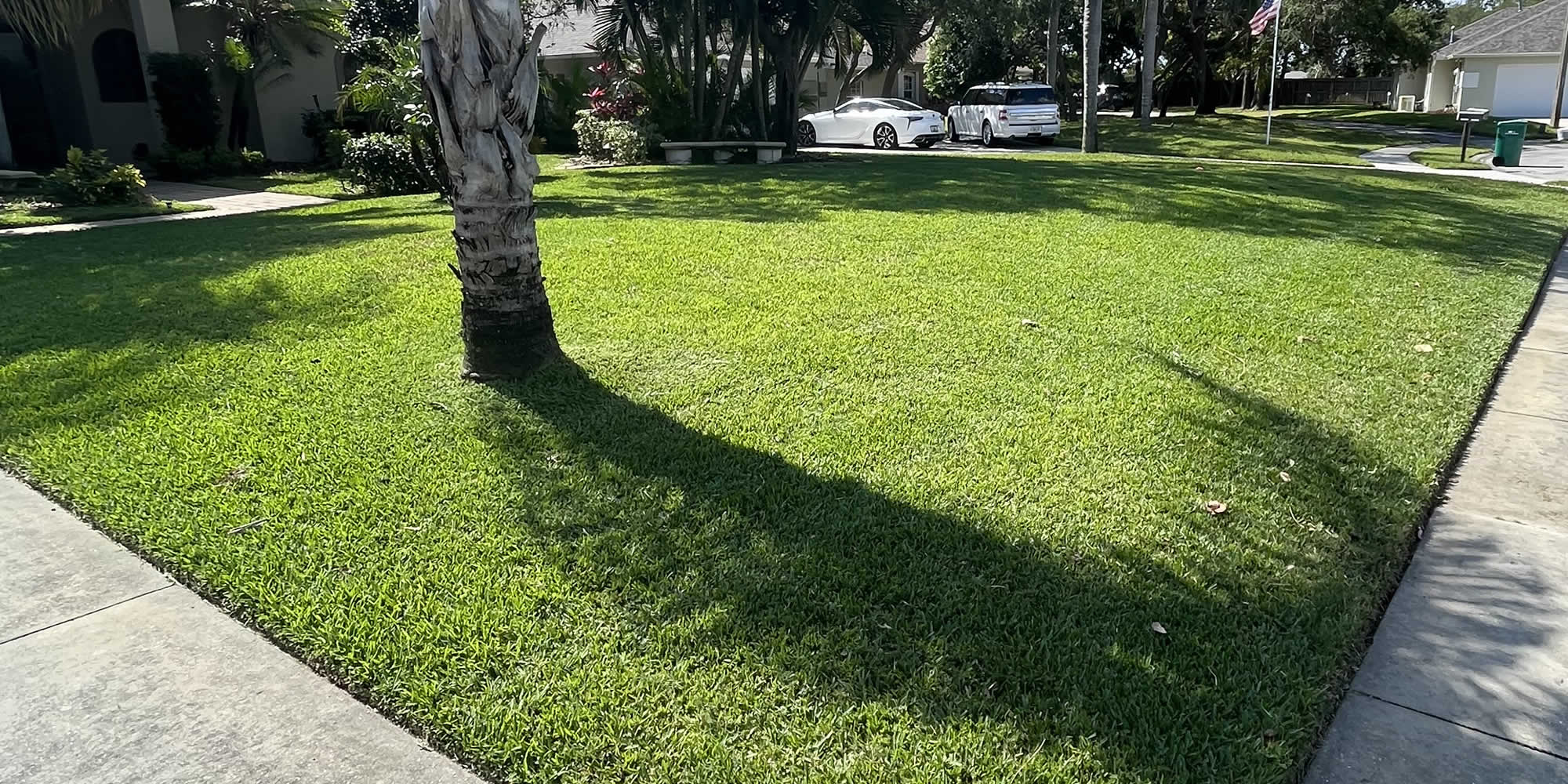 Lawn Care Mowing Services