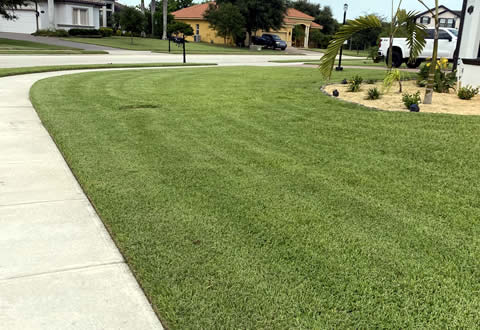 Lawn Edging throughout Palm Bay, Melbourne, and Brevard County in Florida.