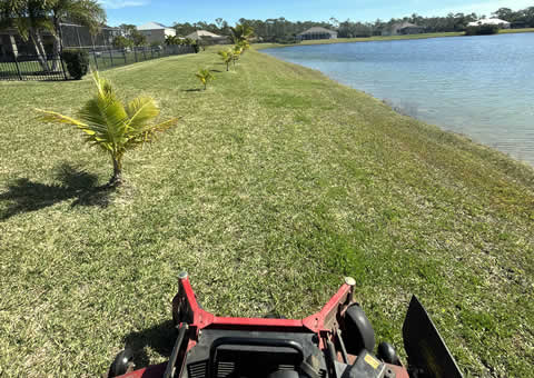 Lawn Mowing and Yard Maintenance Services throughout Palm Bay, Melbourne, and Brevard County in Florida.