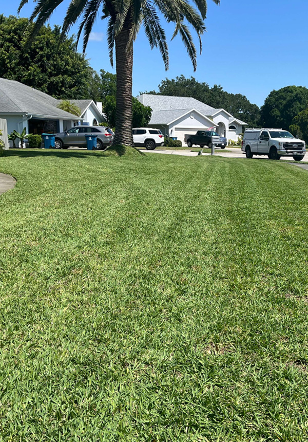 Lawn Care Services