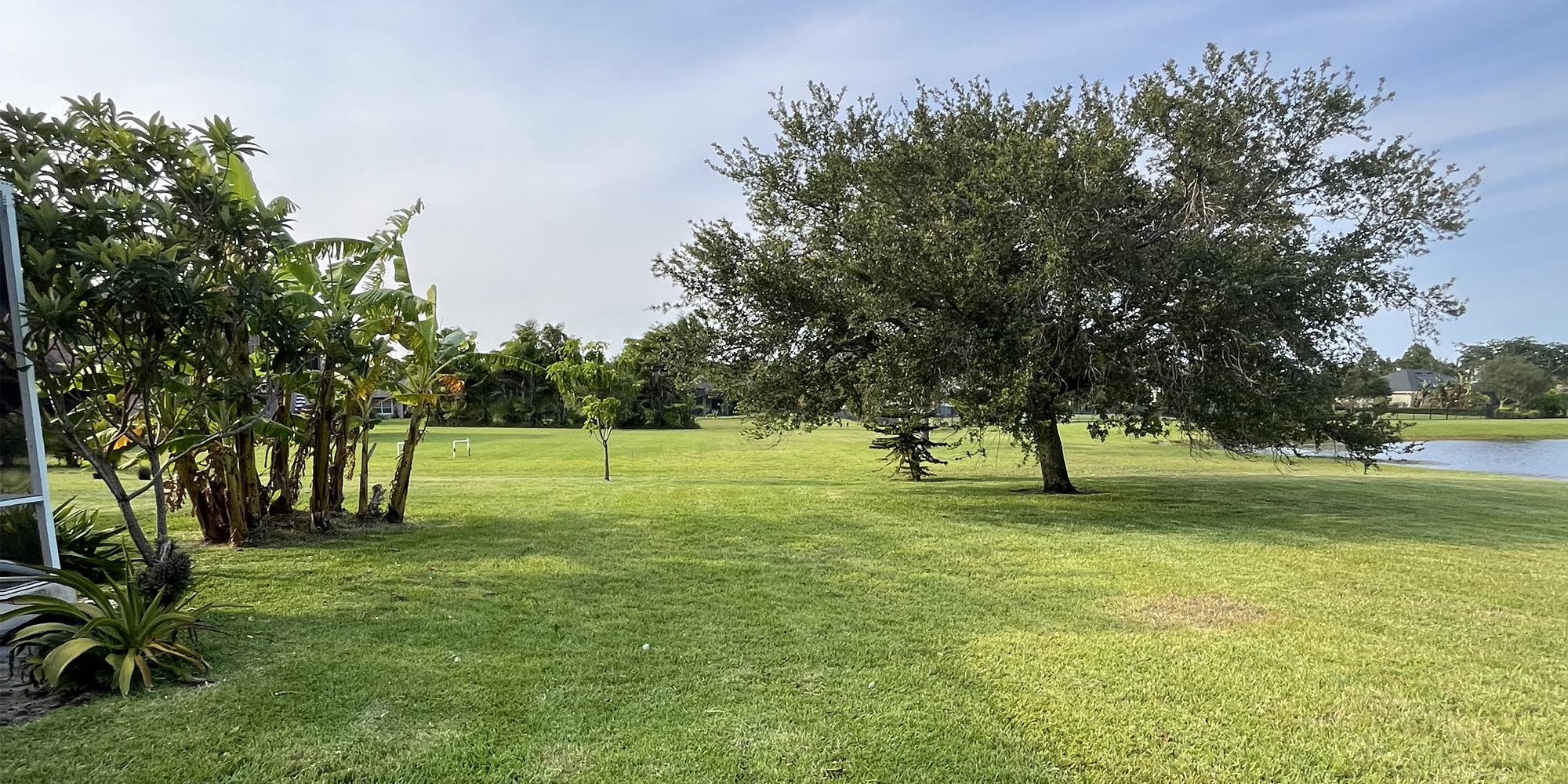 Lawn Care Mowing Services