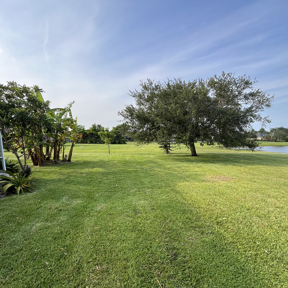 Lawn Care Mowing Services