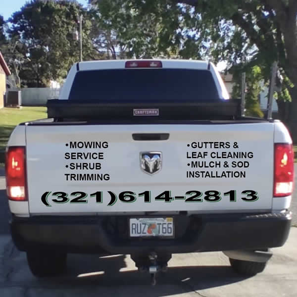 Professional Lawn Care Maintenance