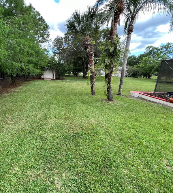 Local Lawn Care Company Palm Bay