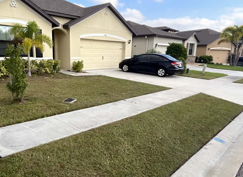Weed Control throughout Palm Bay, Melbourne, and Brevard County in Florida.